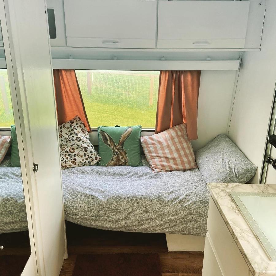 Hotel Cosy Caravan At Carrigeen Glamping Kilkenny Zewnętrze zdjęcie