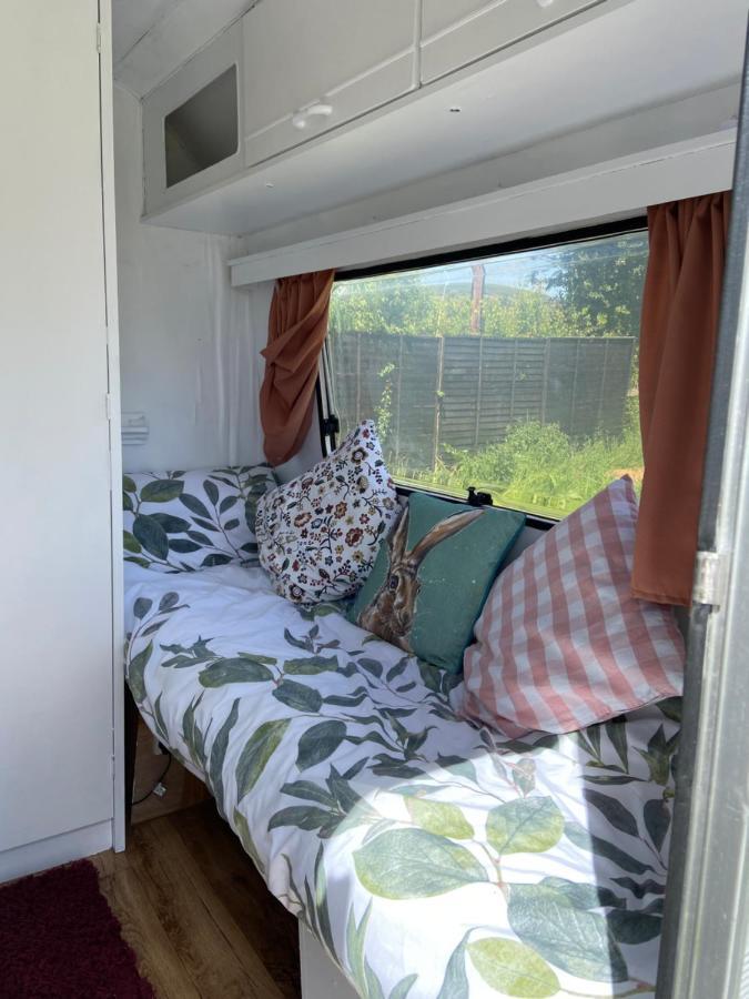 Hotel Cosy Caravan At Carrigeen Glamping Kilkenny Zewnętrze zdjęcie